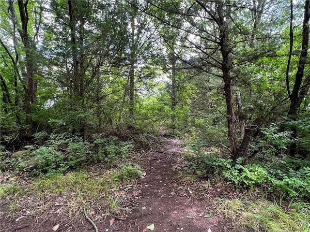 view of wooded area