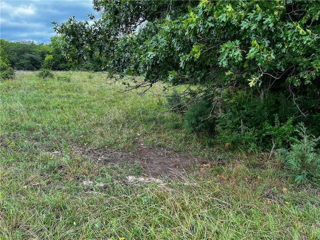 view of undeveloped land