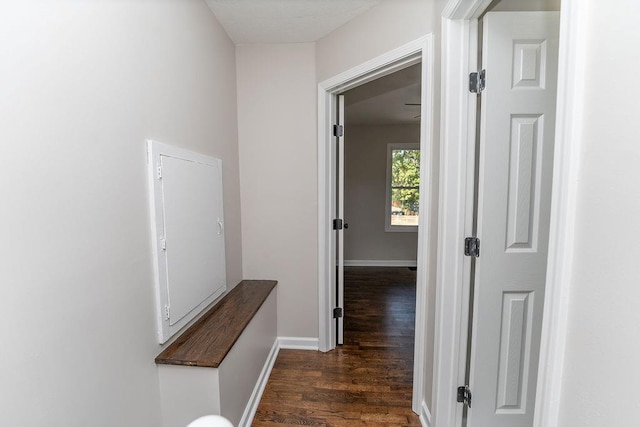 corridor featuring dark wood-type flooring