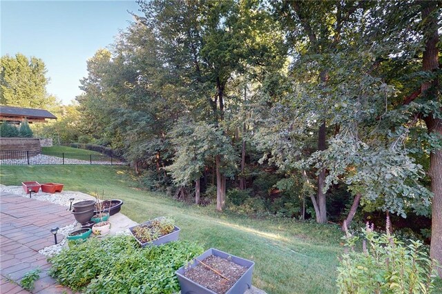 4602 NW Verona Dr, Riverside, MO 64150 - view of yard featuring a patio area and a vegetable garden