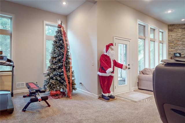 4602 NW Verona Dr, Riverside, MO 64150 - workout room with carpet, baseboards, and recessed lighting