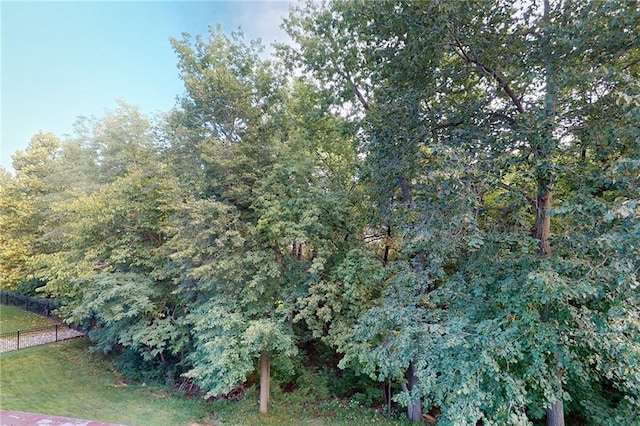 4602 NW Verona Dr, Riverside, MO 64150 - view of local wilderness