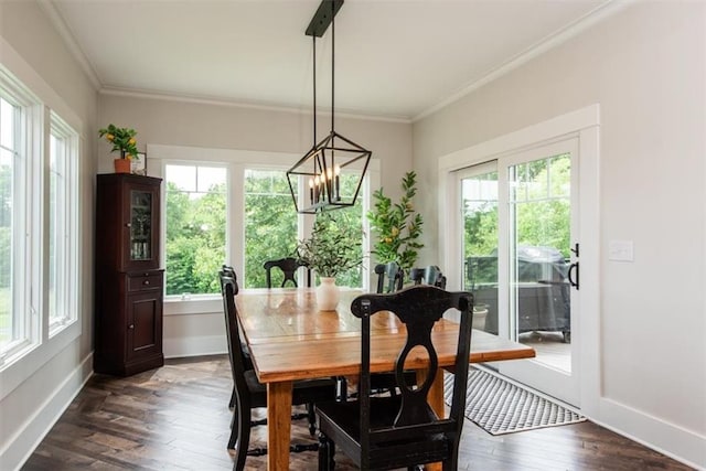 dining room with crown molding, a chandelier, and dark hardwood / wood-style floors