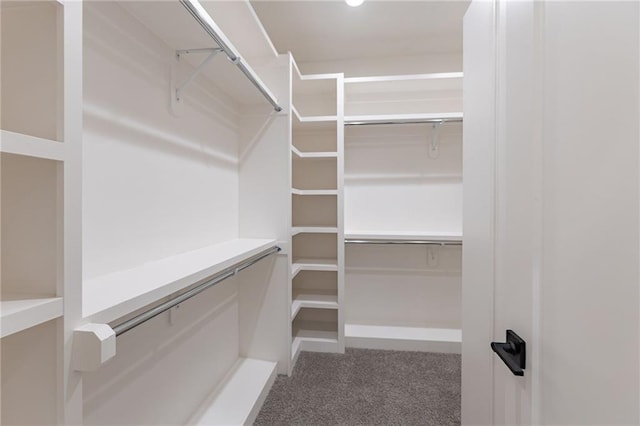 12850 N Arbor Way, Platte City, MO 64079 - spacious closet featuring carpet floors