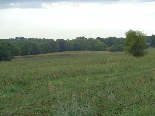 view of landscape featuring a rural view