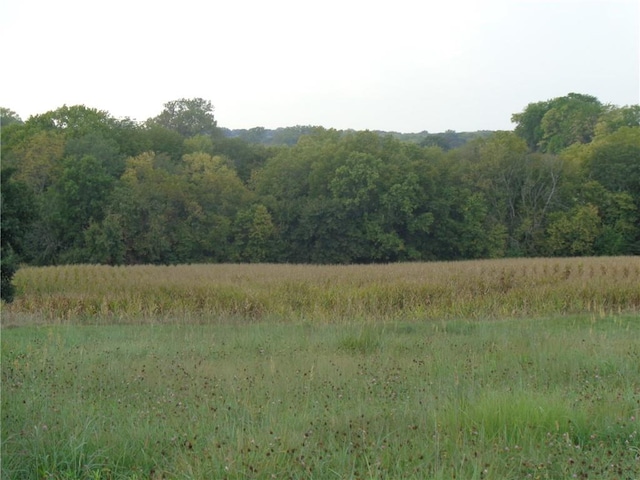 view of local wilderness with a view of trees