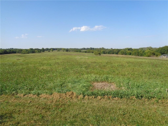 view of nature featuring a rural view