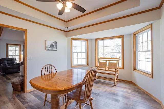 dining area with a wealth of natural light, ceiling fan, hardwood / wood-style flooring, and crown molding