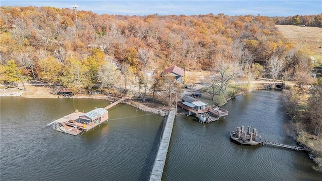 bird's eye view with a water view and a view of trees