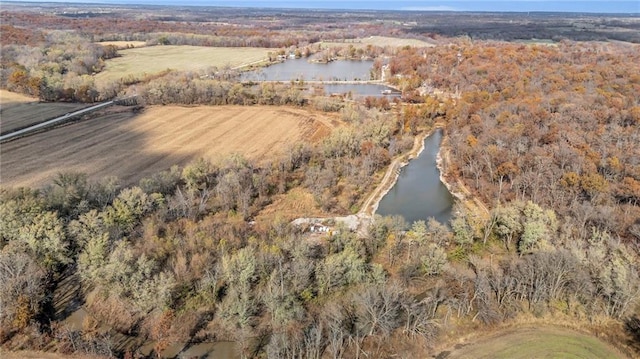 drone / aerial view with a water view and a forest view