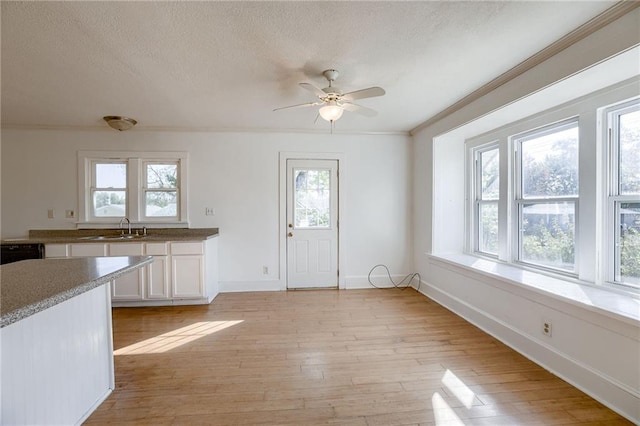 kitchen featuring white cabinets, light hardwood / wood-style flooring, and a healthy amount of sunlight