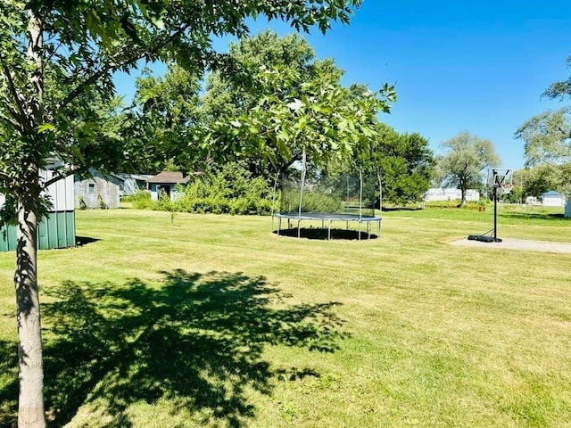 view of community featuring a lawn and a trampoline