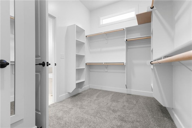 1617 SW Arbor Park Dr, Lees Summit, MO 64082 - walk in closet with carpet