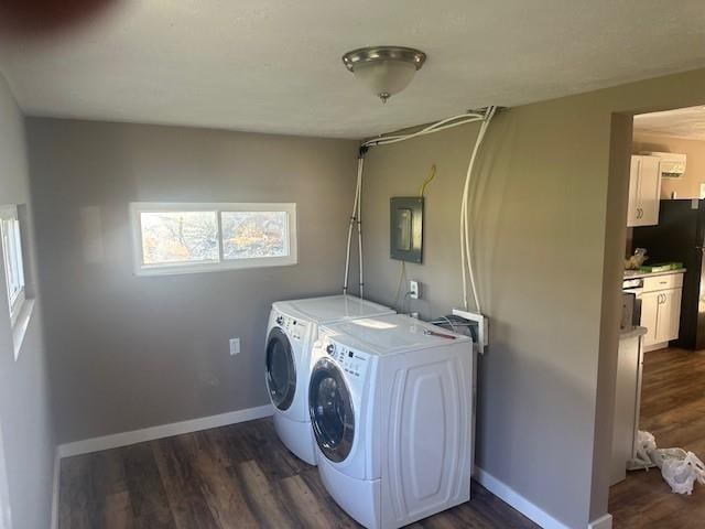 laundry area featuring washer and clothes dryer, electric panel, and dark hardwood / wood-style flooring