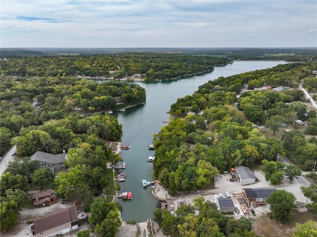bird's eye view with a water view and a forest view