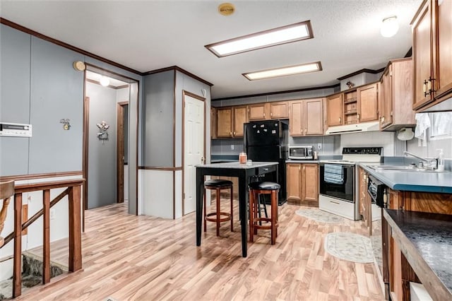 kitchen with electric stove, stainless steel microwave, freestanding refrigerator, a sink, and under cabinet range hood