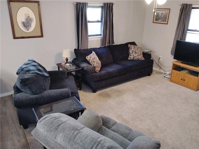 living room with carpet floors