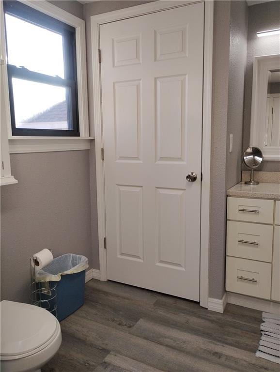 bathroom featuring toilet, vanity, and wood-type flooring