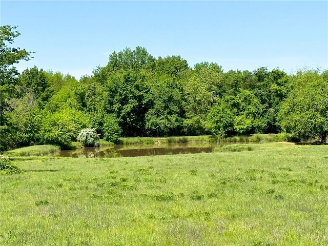 10784 SW 70th St, Chetopa, KS 67336 - view of yard with a water view and a view of trees