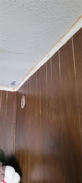 interior details with wooden walls and a textured ceiling