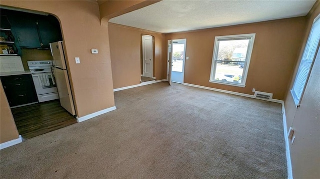 carpeted spare room featuring a textured ceiling and ornamental molding