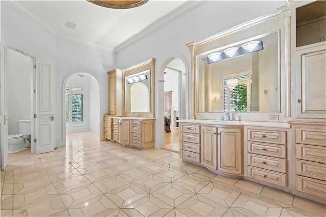 bathroom featuring vanity, plenty of natural light, and toilet