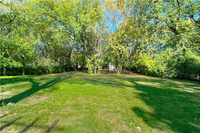 view of yard with a storage unit