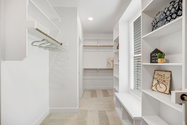 spacious closet with light carpet