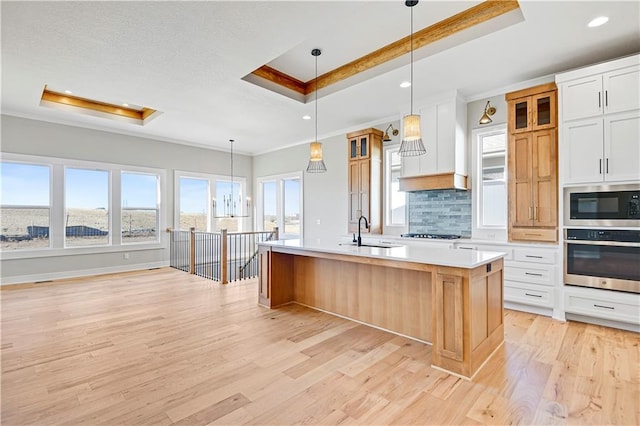 kitchen featuring stainless steel appliances, custom exhaust hood, a raised ceiling, and a kitchen island with sink