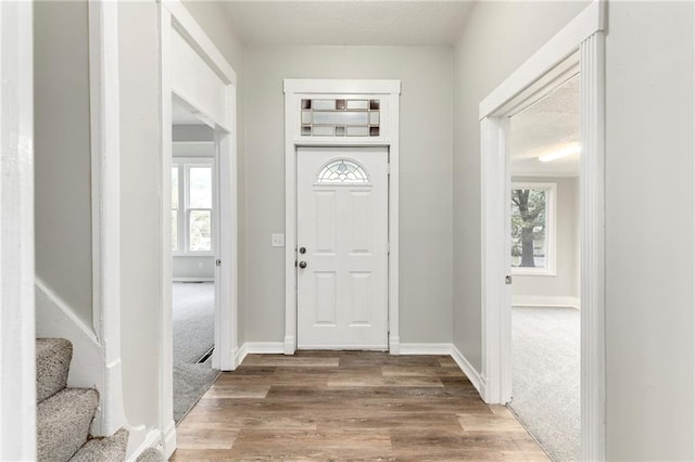 foyer with dark wood-type flooring and a healthy amount of sunlight