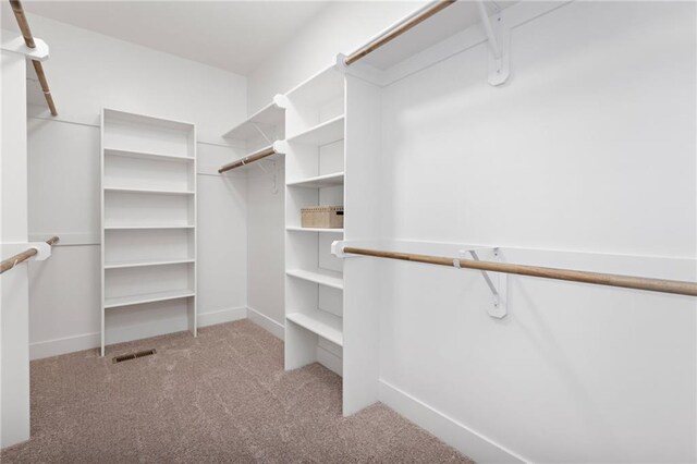 spacious closet with light colored carpet