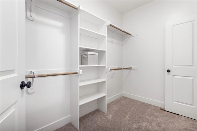 walk in closet with light colored carpet