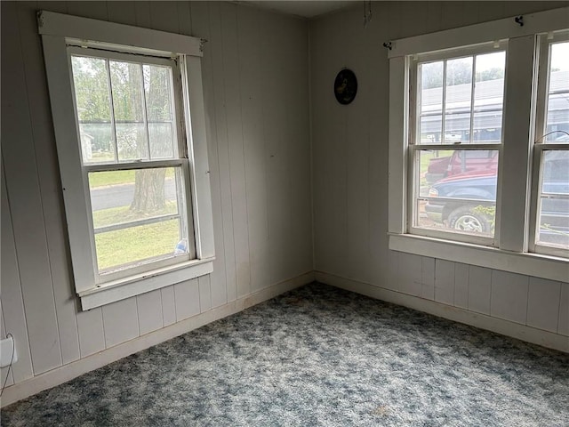 carpeted spare room with a healthy amount of sunlight and wood walls