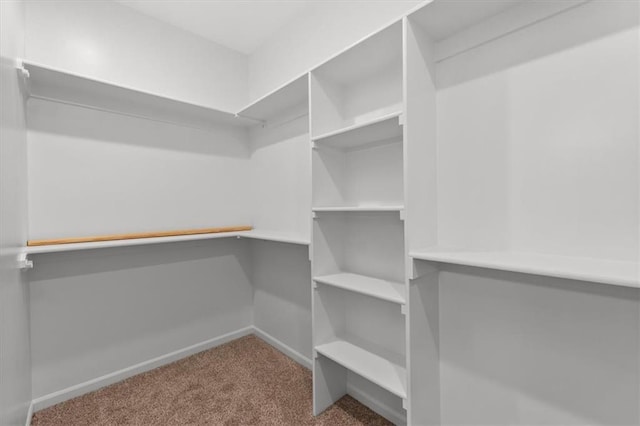 walk in closet featuring carpet