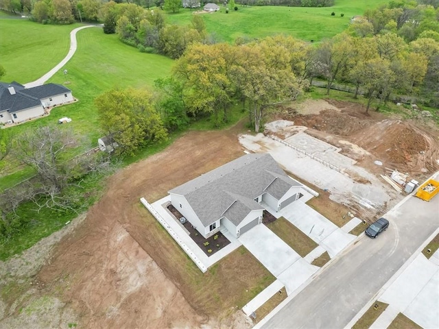 bird's eye view