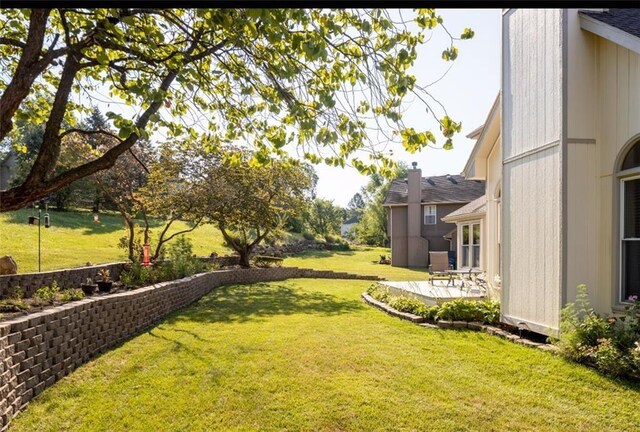 view of yard featuring a patio