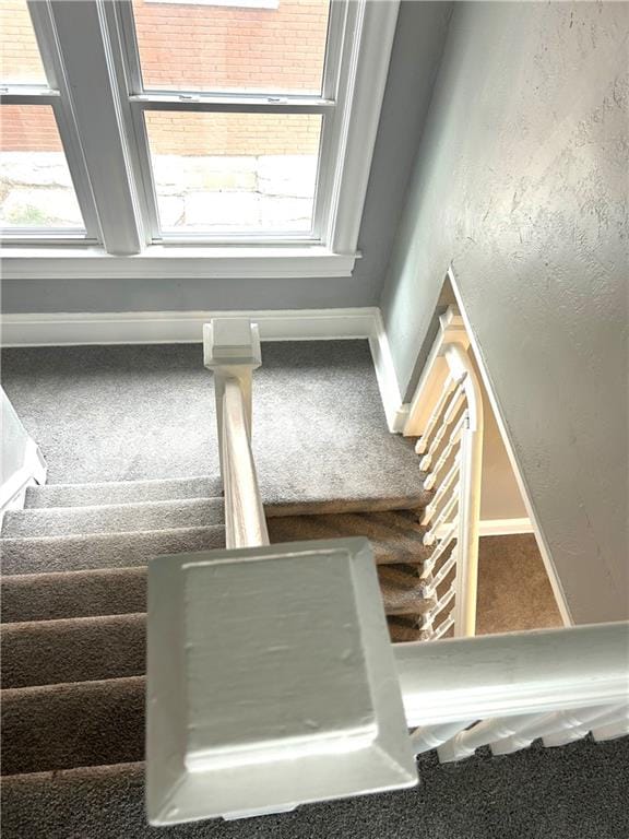 stairway with carpet flooring