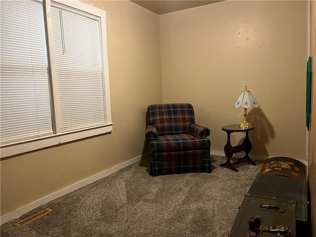 sitting room featuring carpet flooring