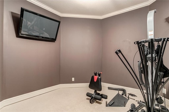 workout room featuring ornamental molding and carpet