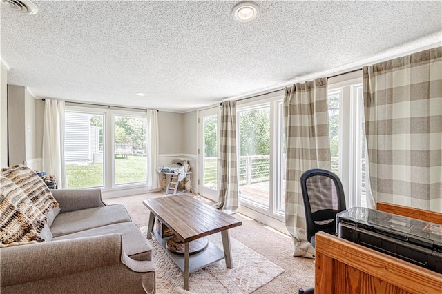 carpeted living room with a textured ceiling and plenty of natural light