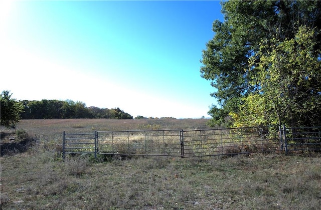 view of yard with fence and a rural view