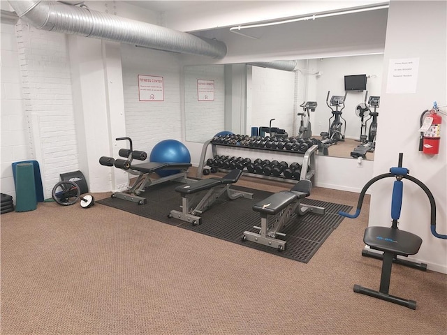 exercise room featuring carpet