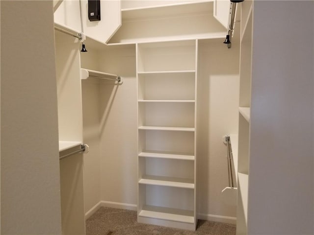 walk in closet featuring carpet