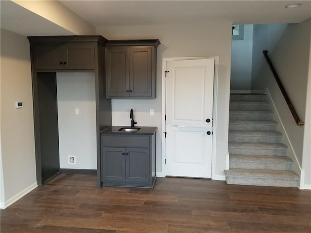 kitchen featuring sink and dark wood-type flooring