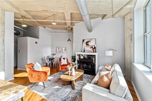 living room with hardwood / wood-style floors