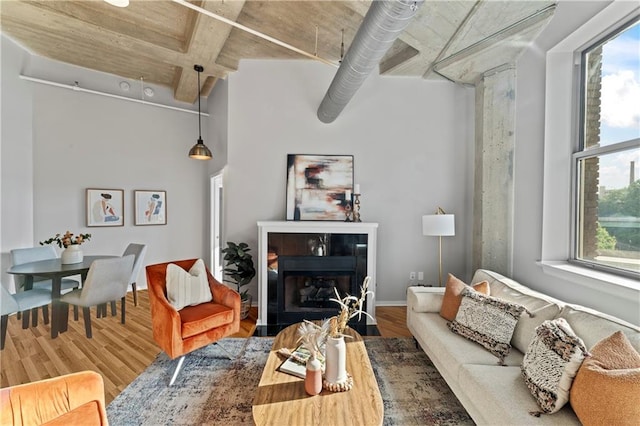 living room with wood-type flooring and a healthy amount of sunlight