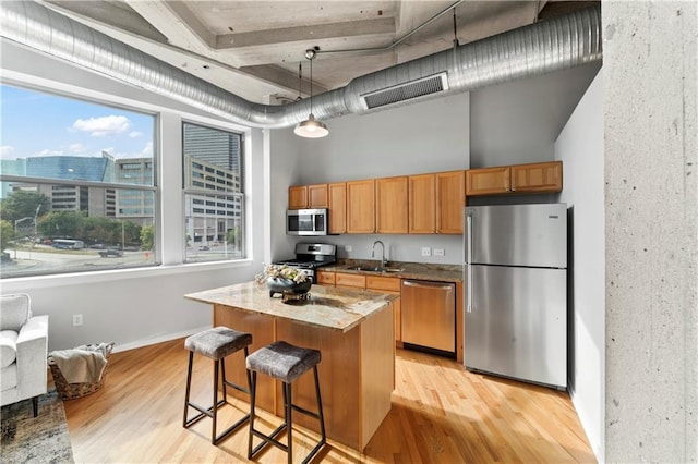 kitchen featuring stainless steel appliances, hanging light fixtures, a healthy amount of sunlight, and light hardwood / wood-style flooring