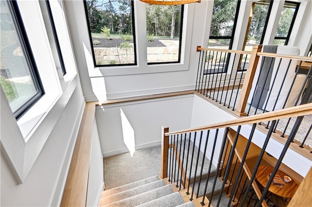 25110 W 98th Pl, Lenexa, KS 66227 - staircase with baseboards and carpet floors