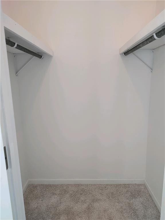 spacious closet featuring carpet flooring