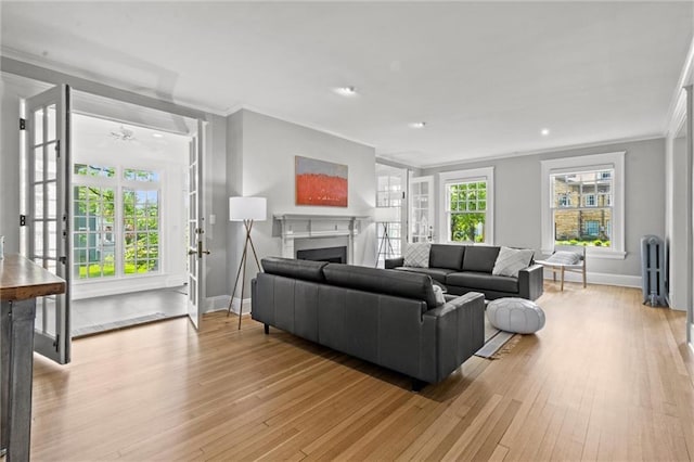 living room featuring radiator heating unit, light hardwood / wood-style flooring, ceiling fan, and crown molding